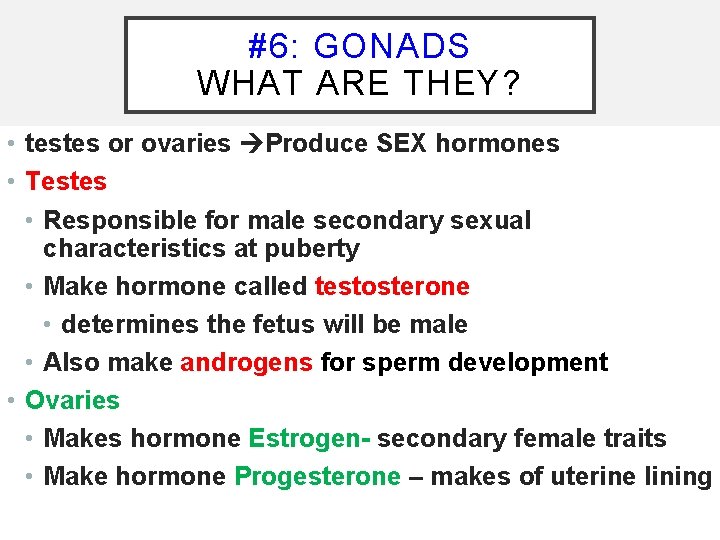 #6: GONADS WHAT ARE THEY? • testes or ovaries Produce SEX hormones • Testes