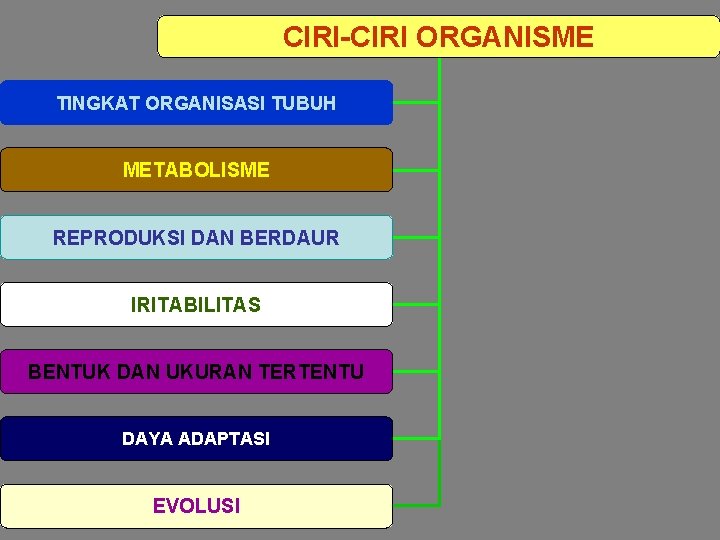 CIRI-CIRI ORGANISME TINGKAT ORGANISASI TUBUH METABOLISME REPRODUKSI DAN BERDAUR IRITABILITAS BENTUK DAN UKURAN TERTENTU
