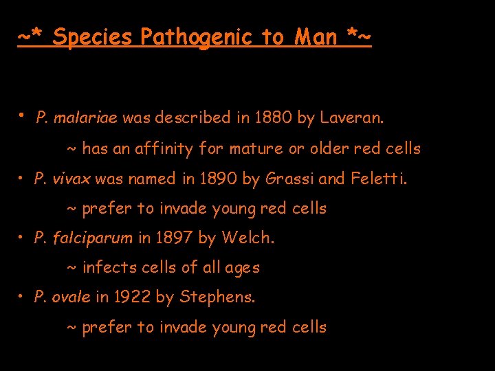 ~* Species Pathogenic to Man *~ • P. malariae was described in 1880 by ~* Species Pathogenic to Man *~ • P. malariae was described in 1880 by