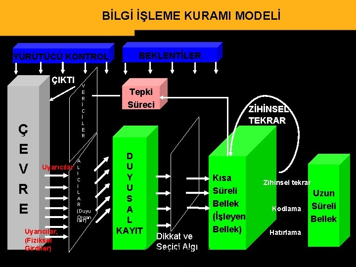 BİLGİ İŞLEME KURAMI MODELİ YÜRÜTÜCÜ KONTROL ÇIKTI Ç E V R E Uyarıcılar, (Fiziksel