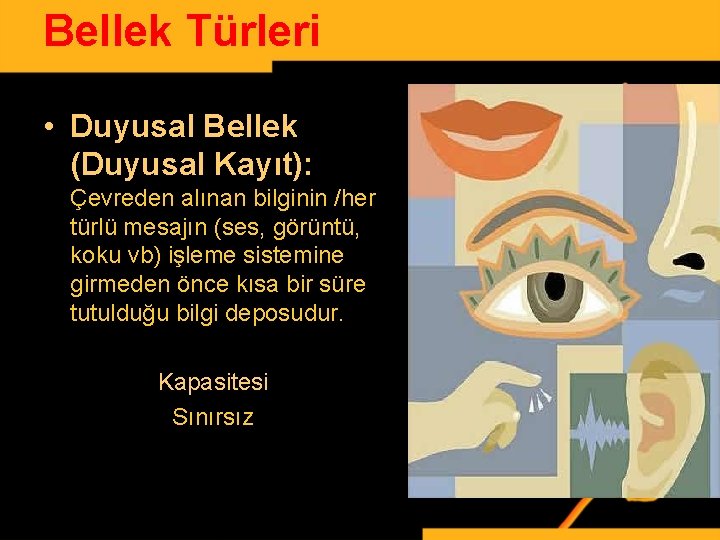 Bellek Türleri • Duyusal Bellek (Duyusal Kayıt): Çevreden alınan bilginin /her türlü mesajın (ses,