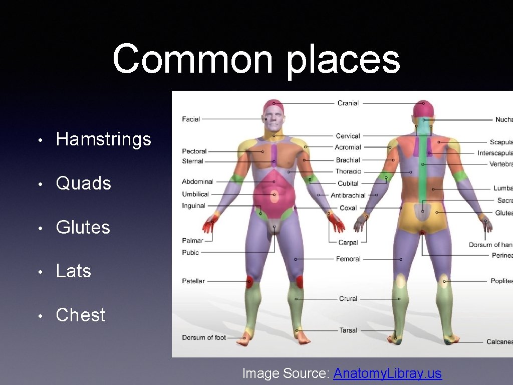Common places • Hamstrings • Quads • Glutes • Lats • Chest Image Source: