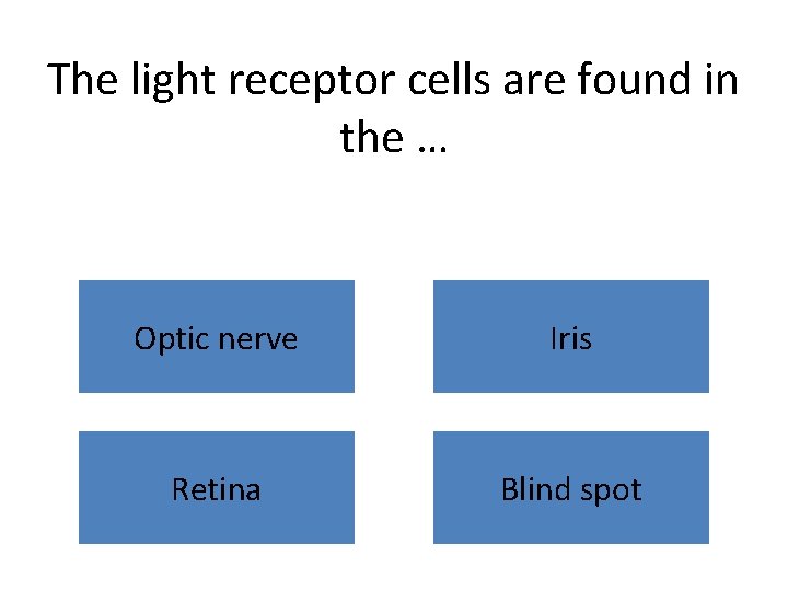 The light receptor cells are found in the … Optic nerve Iris Retina Blind