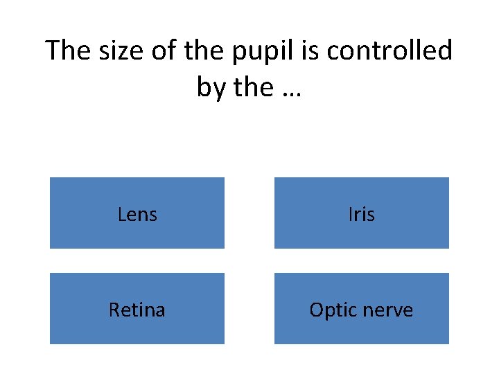 The size of the pupil is controlled by the … Lens Iris Retina Optic