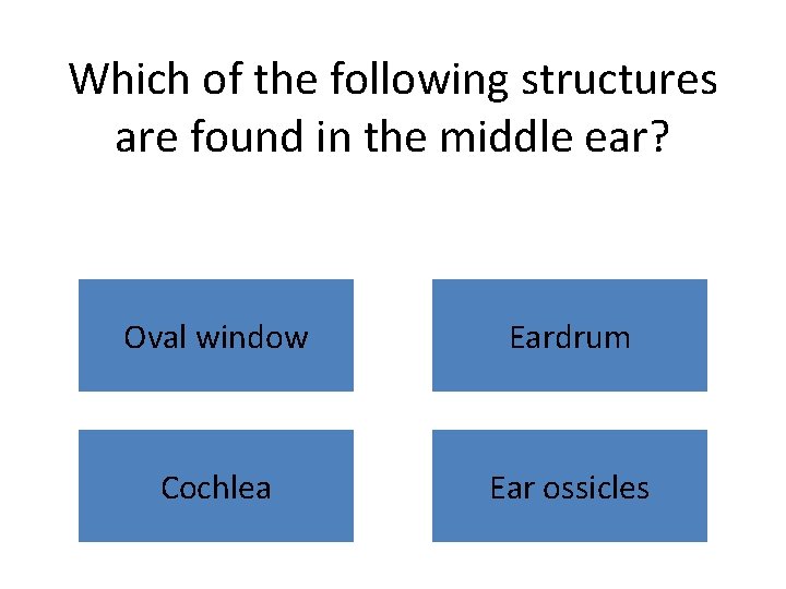 Which of the following structures are found in the middle ear? Oval window Eardrum