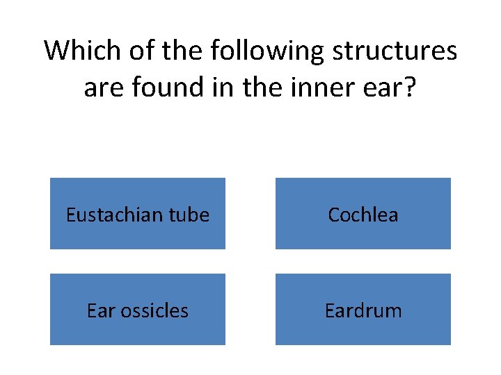 Which of the following structures are found in the inner ear? Eustachian tube Cochlea