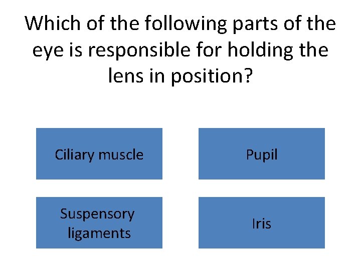 Which of the following parts of the eye is responsible for holding the lens