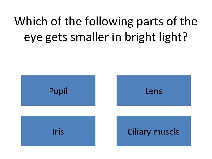 Which of the following parts of the eye gets smaller in bright light? Pupil
