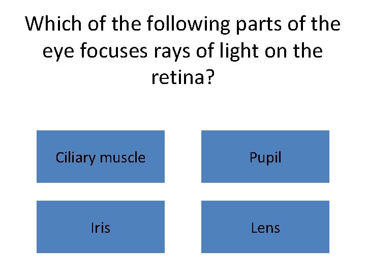 Which of the following parts of the eye focuses rays of light on the