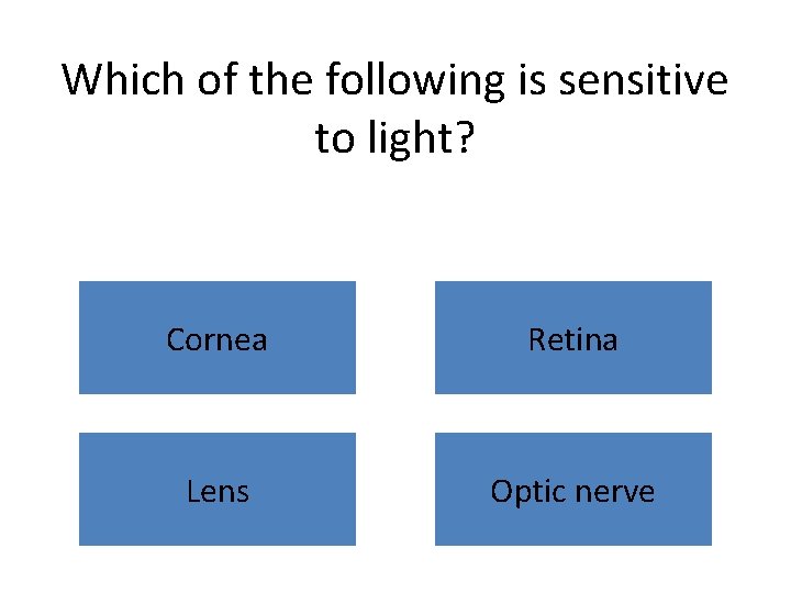 Which of the following is sensitive to light? Cornea Retina Lens Optic nerve 