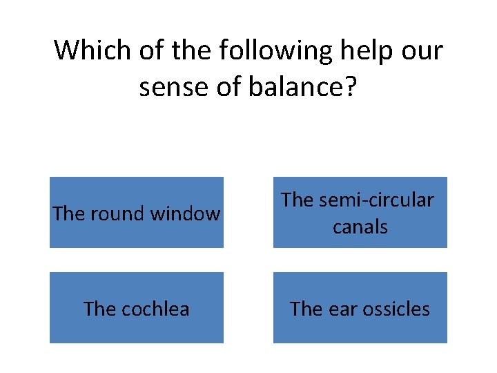 Which of the following help our sense of balance? The round window The semi-circular