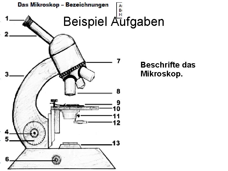 Beispiel Aufgaben Beschrifte das Mikroskop. 