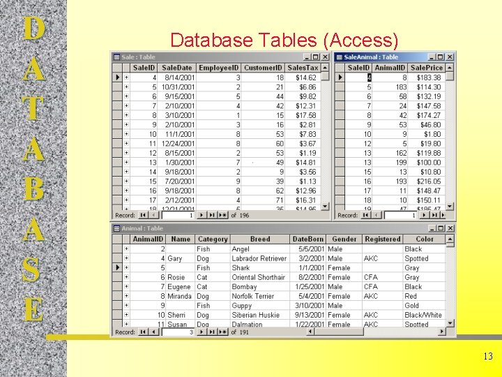 D A T A B A S E Database Tables (Access) 13 