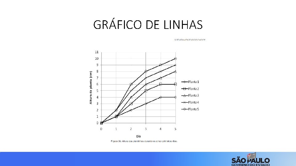 GRÁFICO DE LINHAS 