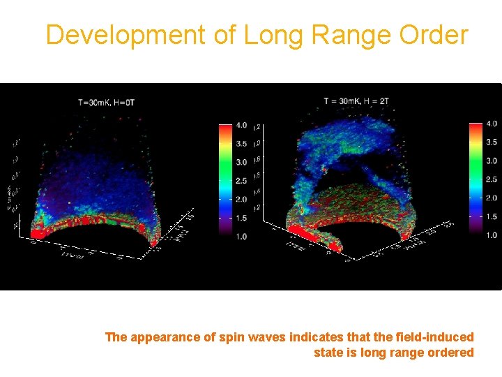 Development of Long Range Order The appearance of spin waves indicates that the field-induced