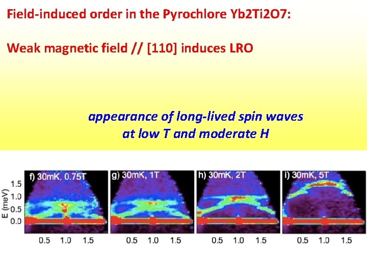 Field-induced order in the Pyrochlore Yb 2 Ti 2 O 7: Weak magnetic field