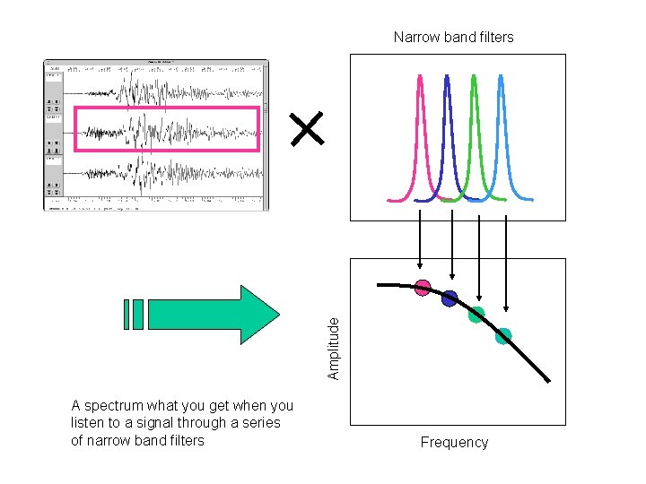 Amplitude Narrow band filters A spectrum what you get when you listen to a