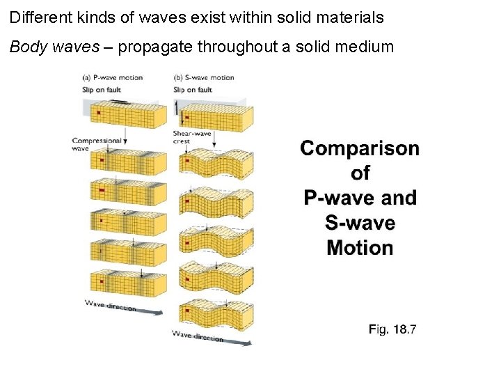 Different kinds of waves exist within solid materials Body waves – propagate throughout a
