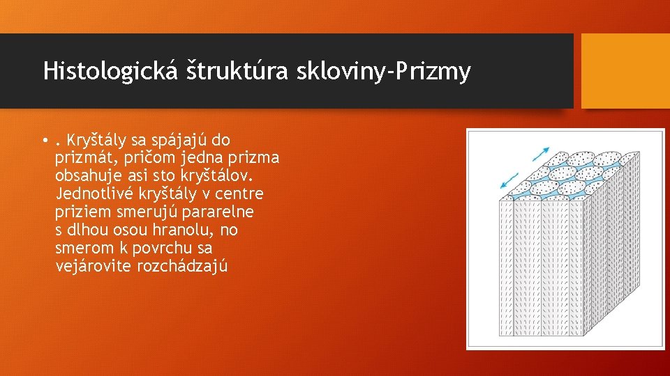 Histologická štruktúra skloviny-Prizmy • . Kryštály sa spájajú do prizmát, pričom jedna prizma obsahuje