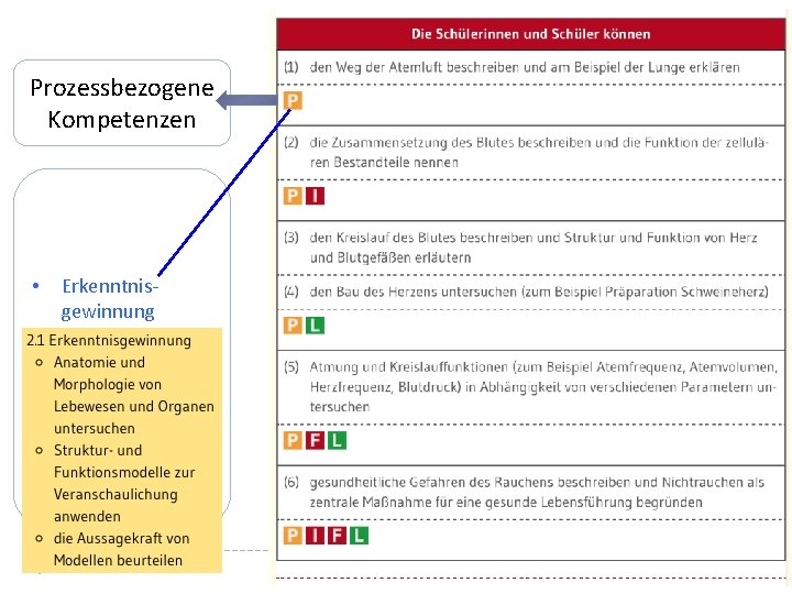 Prozessbezogene Kompetenzen • Erkenntnisgewinnung • Kommunikation • Bewertung 