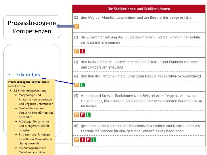 Prozessbezogene Kompetenzen • Erkenntnisgewinnung • Kommunikation • Bewertung 