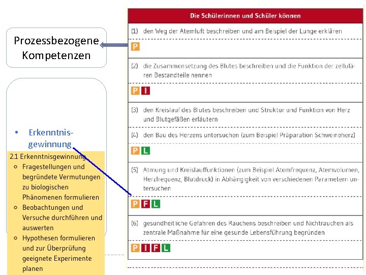 Prozessbezogene Kompetenzen • Erkenntnisgewinnung • Kommunikation • Bewertung 
