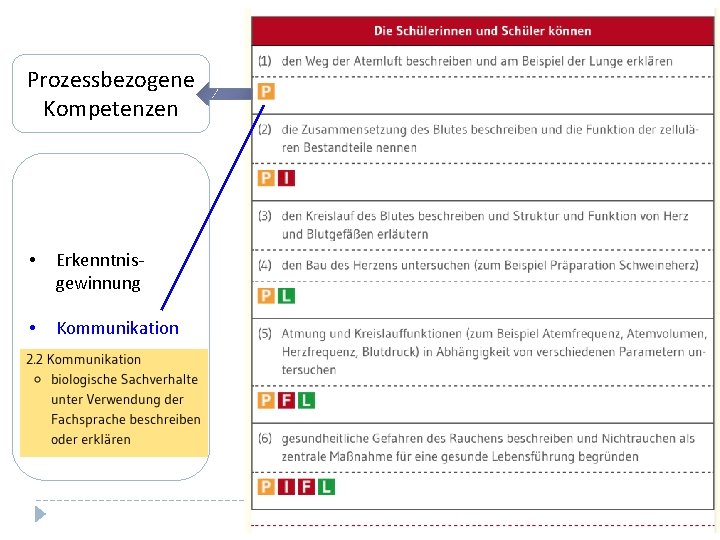 Prozessbezogene Kompetenzen • Erkenntnisgewinnung • Kommunikation • Bewertung 