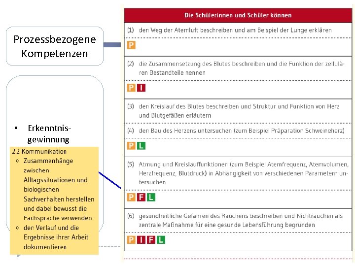 Prozessbezogene Kompetenzen • Erkenntnisgewinnung • Kommunikation • Bewertung 