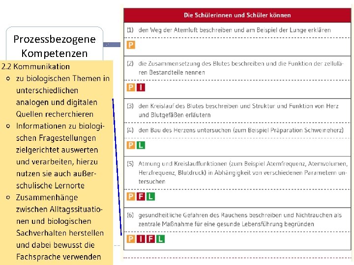 Prozessbezogene Kompetenzen • Erkenntnisgewinnung • Kommunikation • Bewertung 