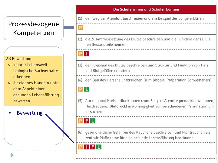 Prozessbezogene Kompetenzen • Erkenntnisgewinnung • Kommunikation • Bewertung 