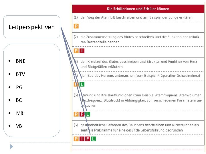 Leitperspektiven • BNE • BTV • PG • BO • MB • VB 