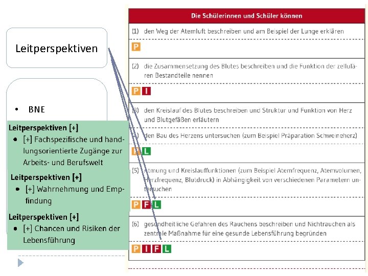 Leitperspektiven • BNE • TAV • PG • BO • MB • VB 