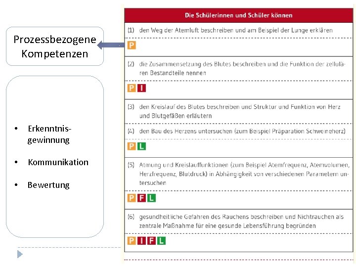 Prozessbezogene Kompetenzen • Erkenntnisgewinnung • Kommunikation • Bewertung 
