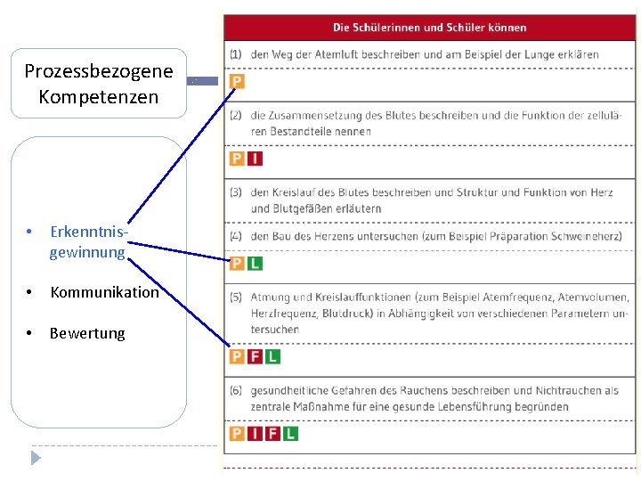 Prozessbezogene Kompetenzen • Erkenntnisgewinnung • Kommunikation • Bewertung 