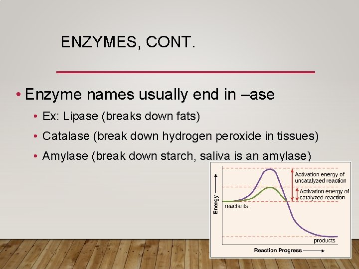 ENZYMES, CONT. • Enzyme names usually end in –ase • Ex: Lipase (breaks down ENZYMES, CONT. • Enzyme names usually end in –ase • Ex: Lipase (breaks down
