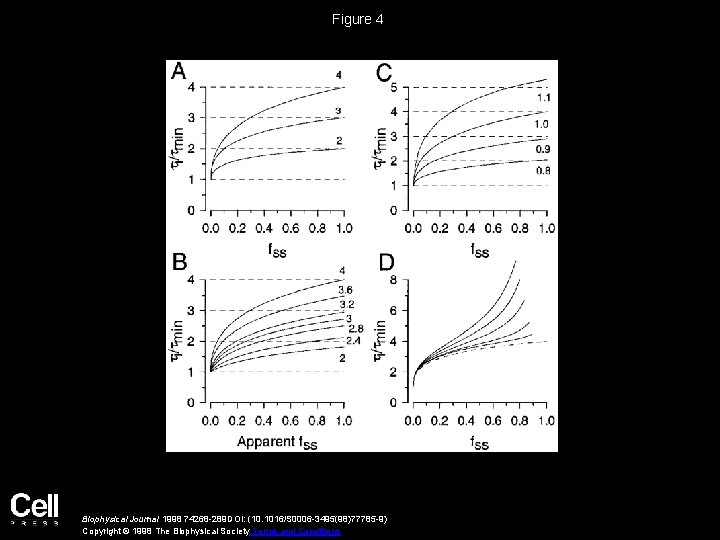 Figure 4 Biophysical Journal 1998 74268 -289 DOI: (10. 1016/S 0006 -3495(98)77785 -9) Copyright