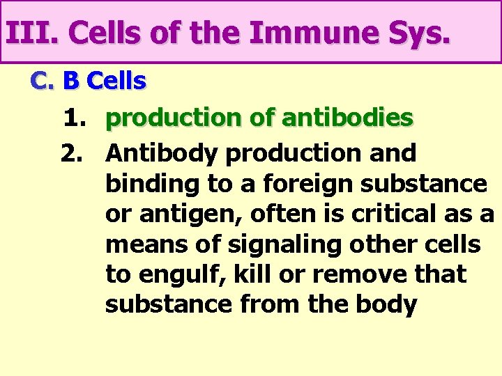 III. Cells of the Immune Sys. C. B Cells 1. production of antibodies 2.