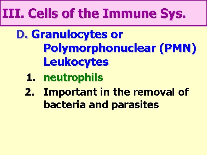 III. Cells of the Immune Sys. D. Granulocytes or Polymorphonuclear (PMN) Leukocytes 1. neutrophils