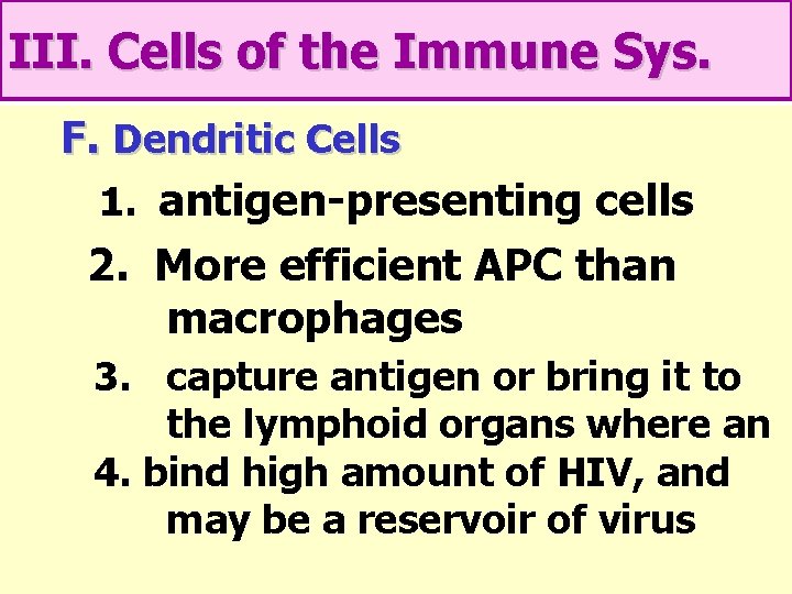 III. Cells of the Immune Sys. F. Dendritic Cells 1. antigen-presenting cells 2. More