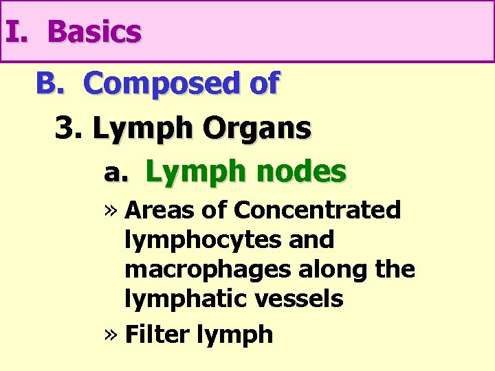 I. Basics B. Composed of 3. Lymph Organs a. Lymph nodes » Areas of