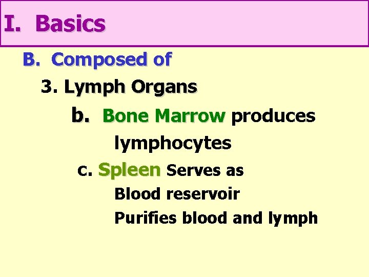 I. Basics B. Composed of 3. Lymph Organs b. Bone Marrow produces lymphocytes c.