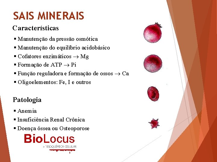 SAIS MINERAIS Características § Manutenção da pressão osmótica § Manutenção do equilíbrio acidobásico §