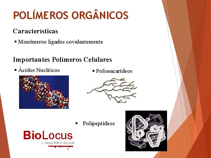 POLÍMEROS ORG NICOS Características § Monômeros ligados covalentemente Importantes Polímeros Celulares § Ácidos Nucléicos