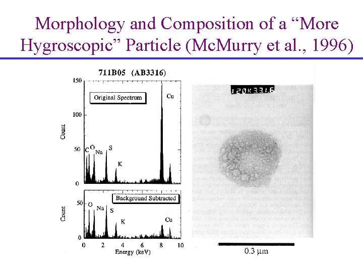 Morphology and Composition of a “More Hygroscopic” Particle (Mc. Murry et al. , 1996)