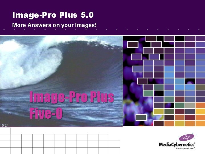 Image-Pro Plus 5. 0 More Answers on your Images! Image-Pro Plus Five-O 