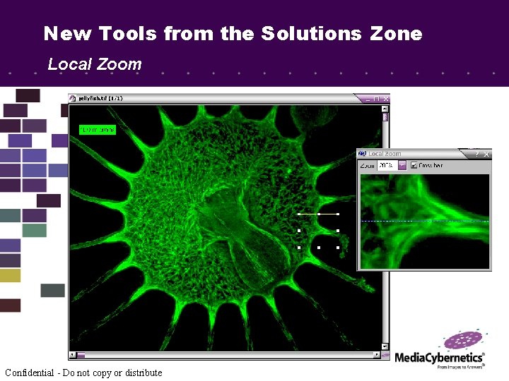 New Tools from the Solutions Zone Local Zoom Confidential - Do not copy or