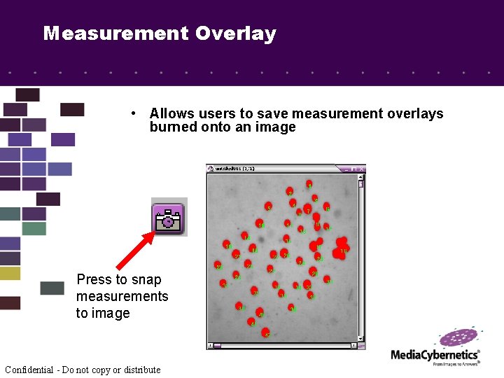Measurement Overlay • Allows users to save measurement overlays burned onto an image Press