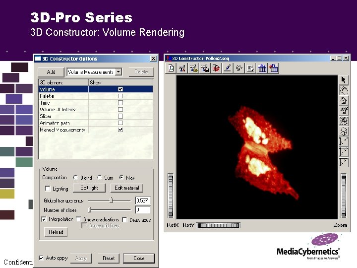 3 D-Pro Series 3 D Constructor: Volume Rendering Confidential - Do not copy or