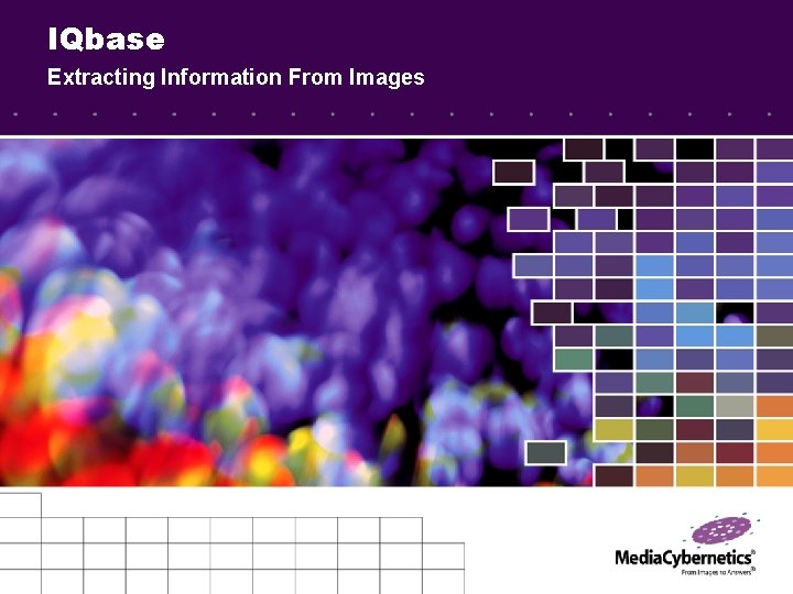 IQbase Extracting Information From Images 