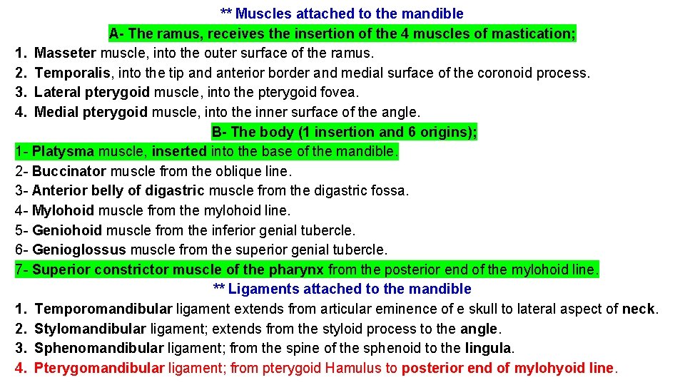 ** Muscles attached to the mandible A- The ramus, receives the insertion of the